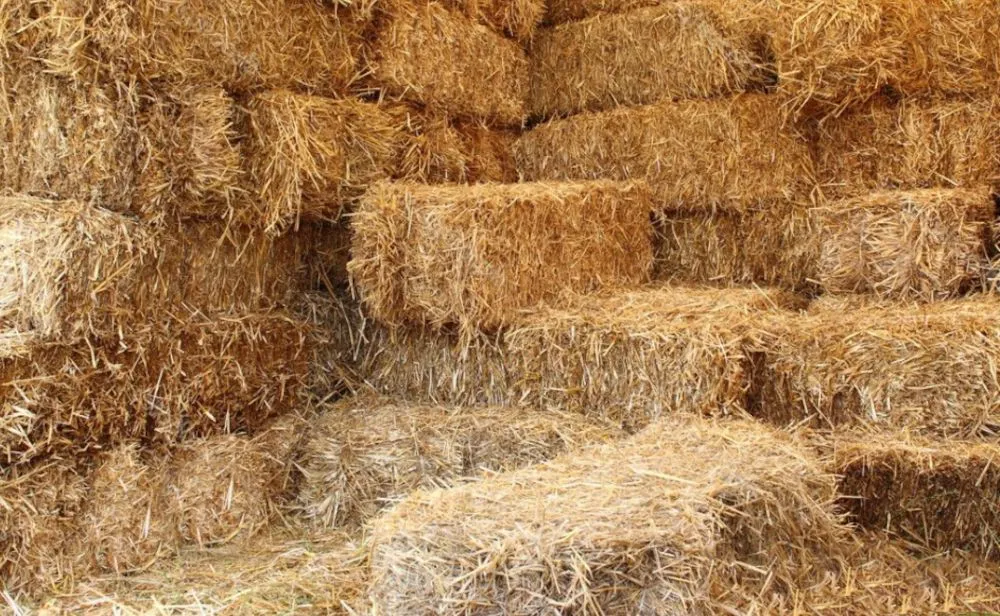 Lawnmaking Lawnmaking